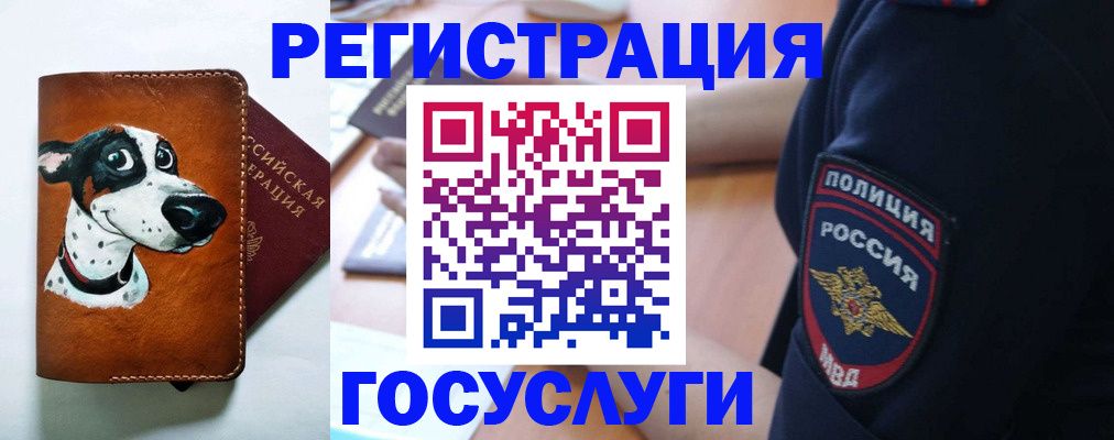 временная регистрация в квартире в Королёве